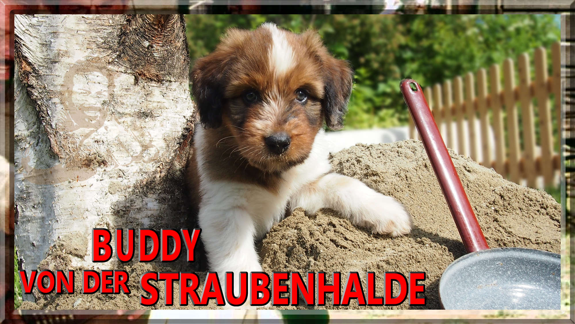 Wäller von der Straubenhalde